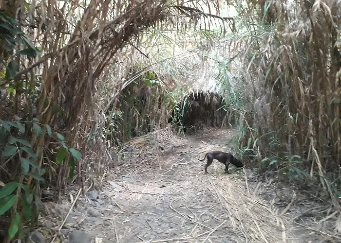 Lägenhet Stone And Sea Arucas