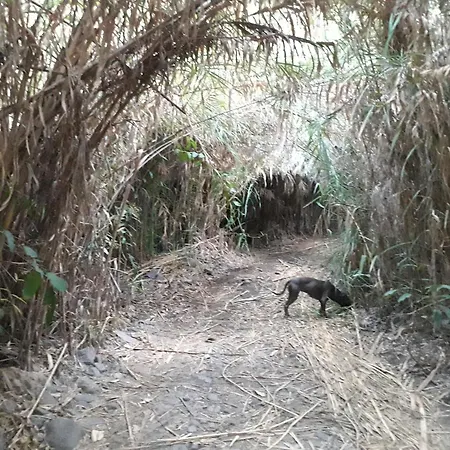 アパート Stone And Sea アルカス